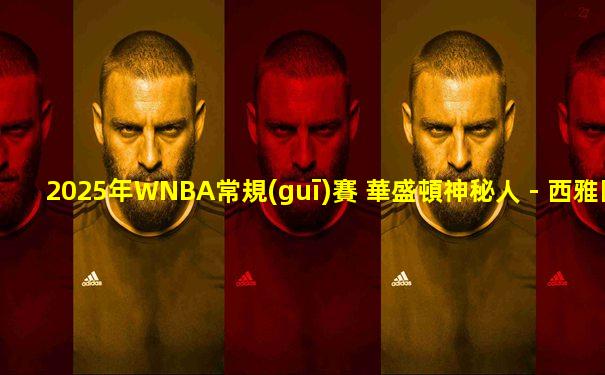 2025年WNBA常規(guī)賽 華盛頓神秘人 - 西雅圖風(fēng)暴 全場(chǎng)錄像